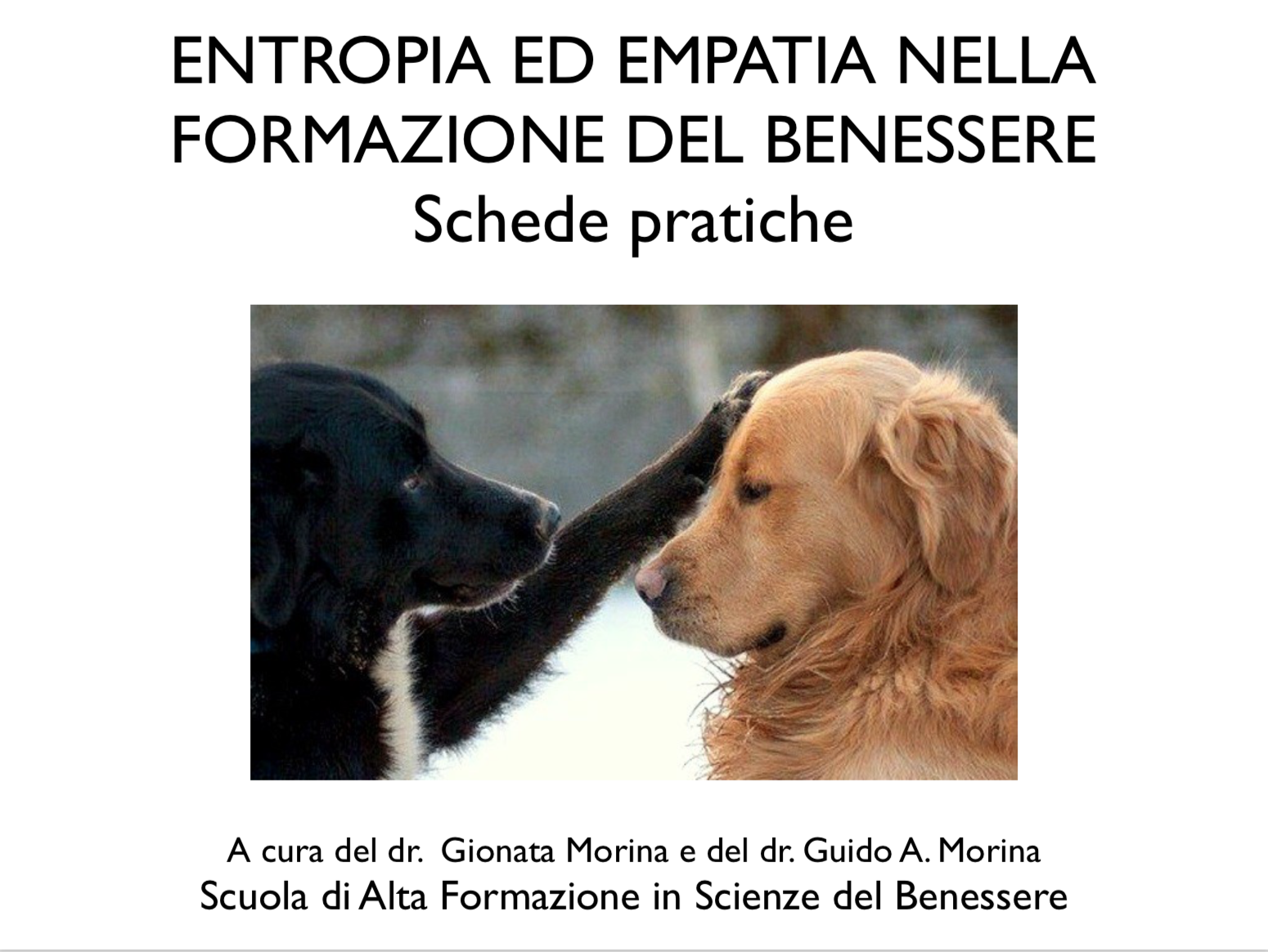 entropia