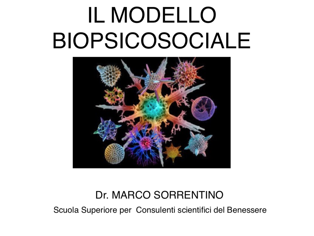 modello biopsicosociale
