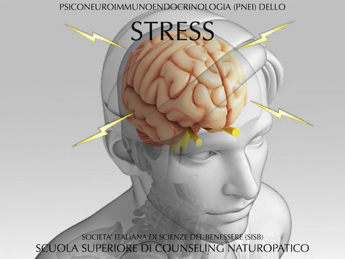 PNEI E STRESS