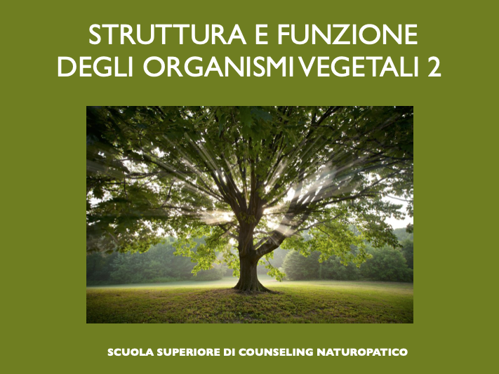 STRUTTURA E FUNZIONE DEGLI ORGANISMI VEGETALI (SECONDA PARTE)