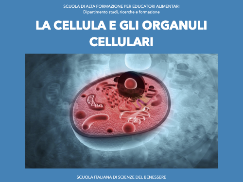 Educatore alimentare