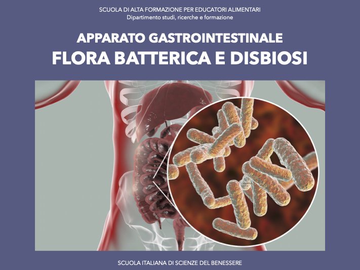 Apparato gastrointestinale, flora batterica e disbiosi