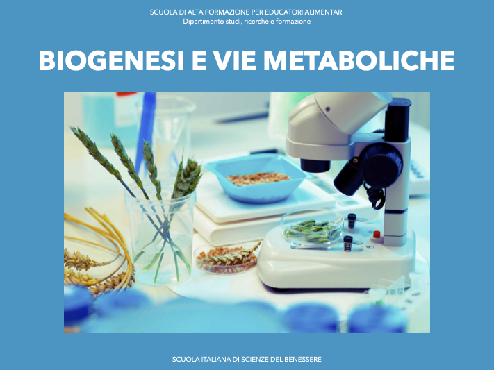 Biogenesi e vie metaboliche